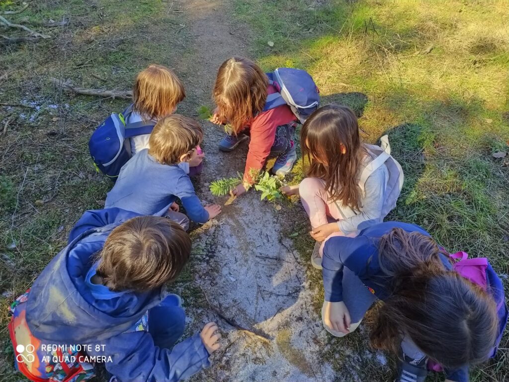 Casal d'Estiu a Terrassa a la natura